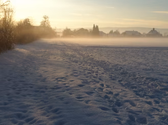 Bild_silvester_31.12.19